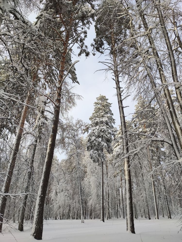 Photograph by Людмила Никитина