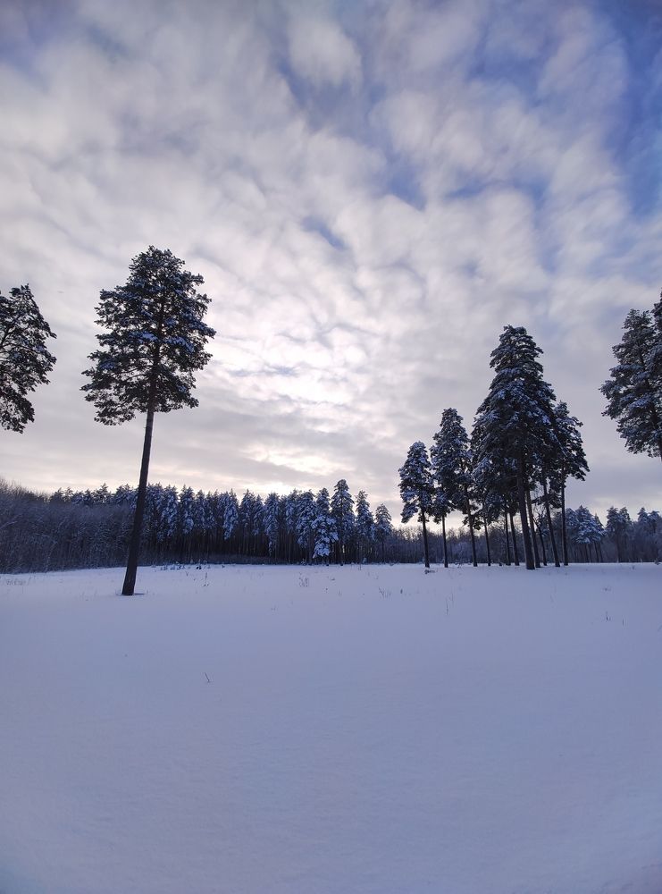 Photograph by Людмила Никитина