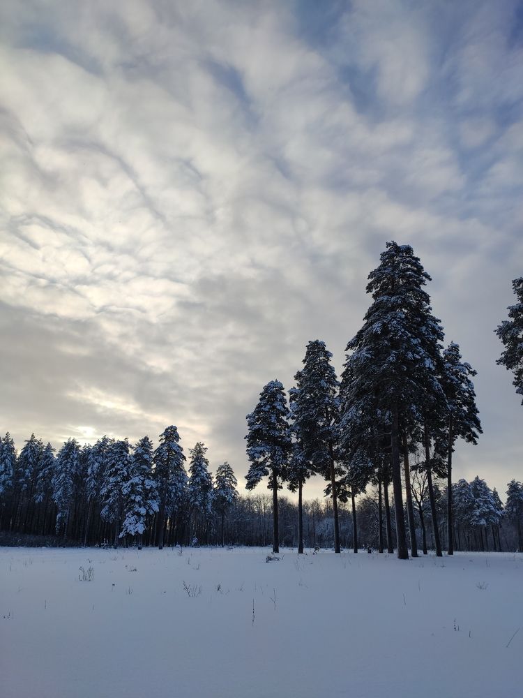 Photograph by Людмила Никитина