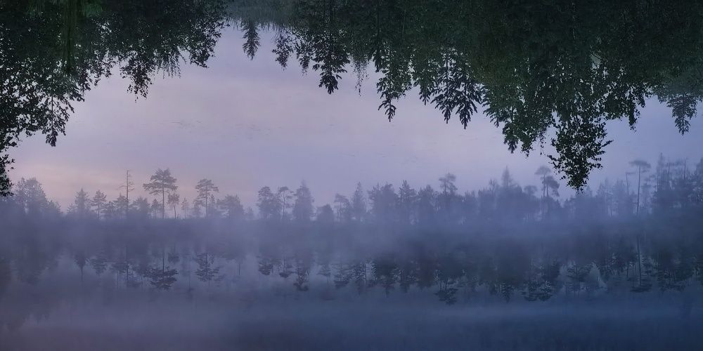 Photograph by Дарья