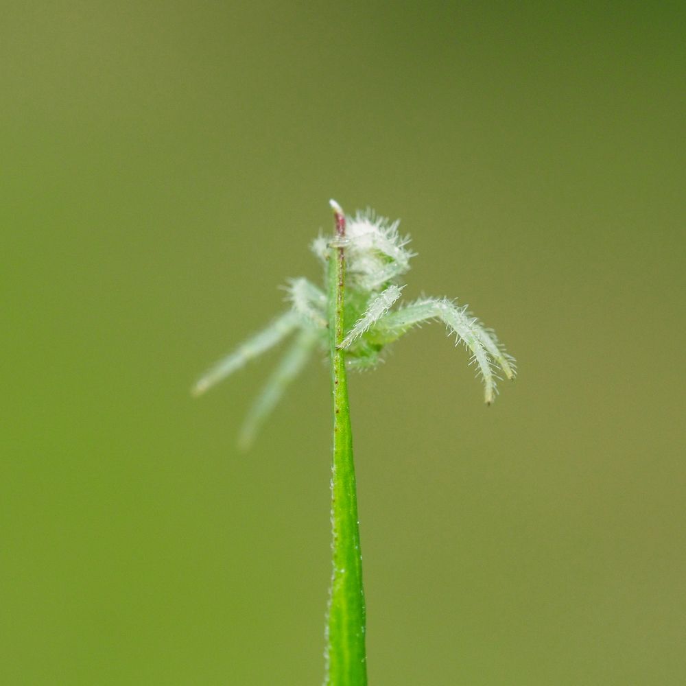 Photograph by Лейла