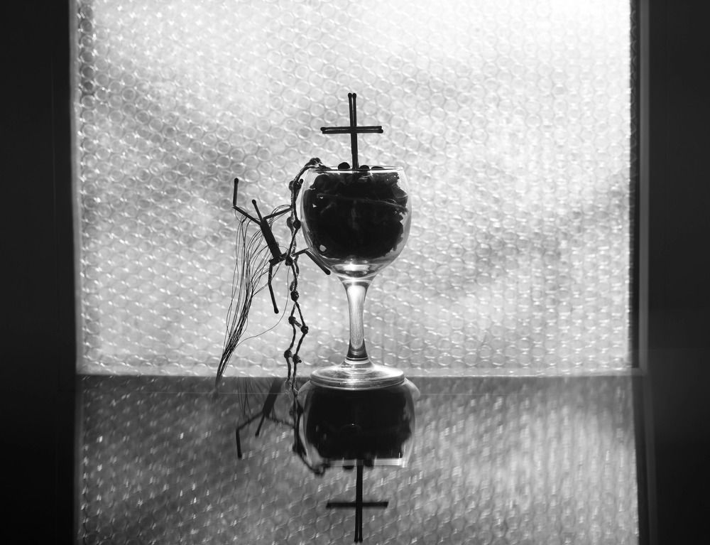 Фотография автора Анастасия Котова