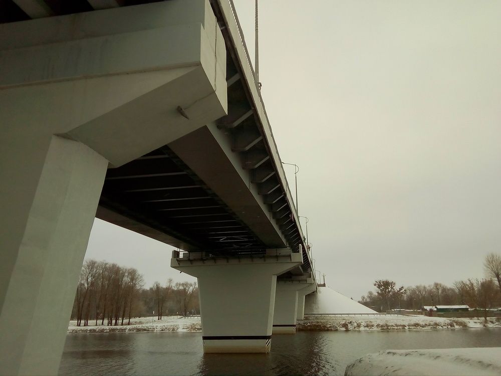 Photo #6981494
