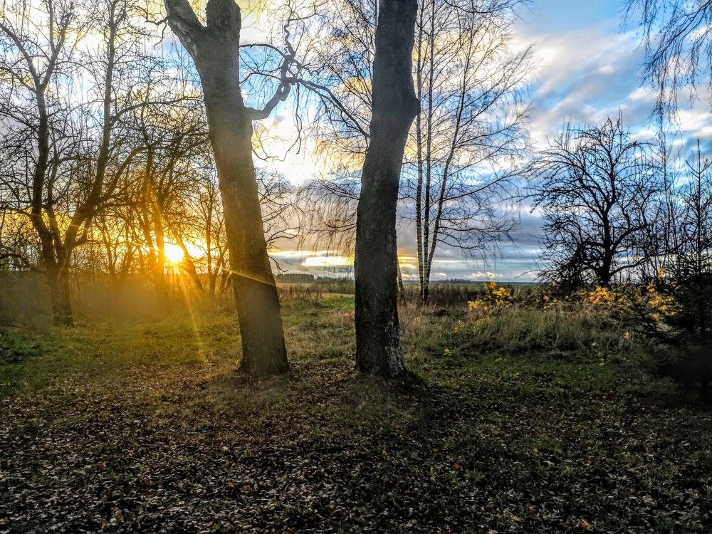 Photograph by Екатерина