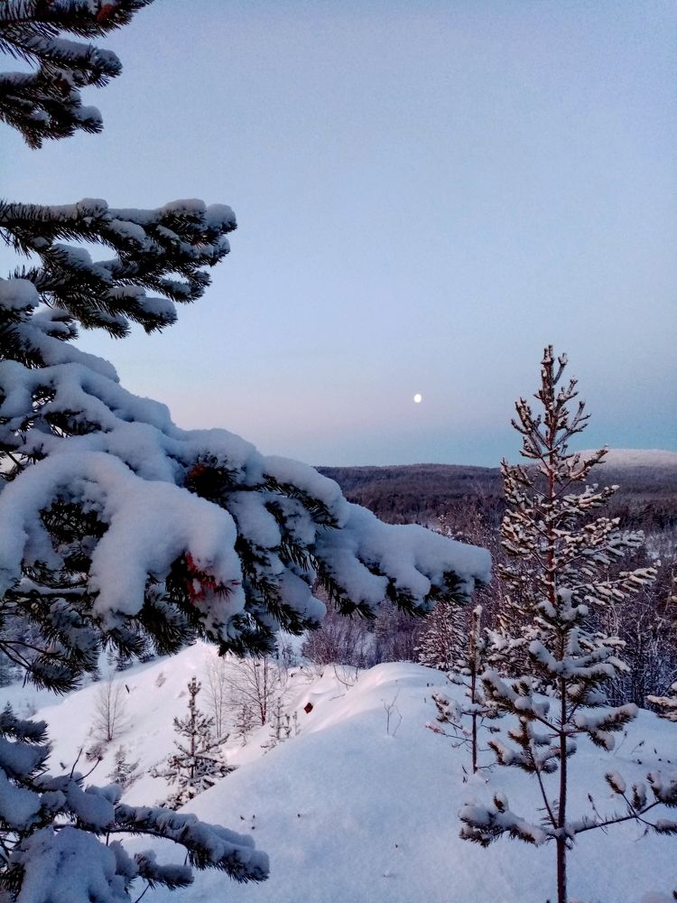 Photo #6981681
