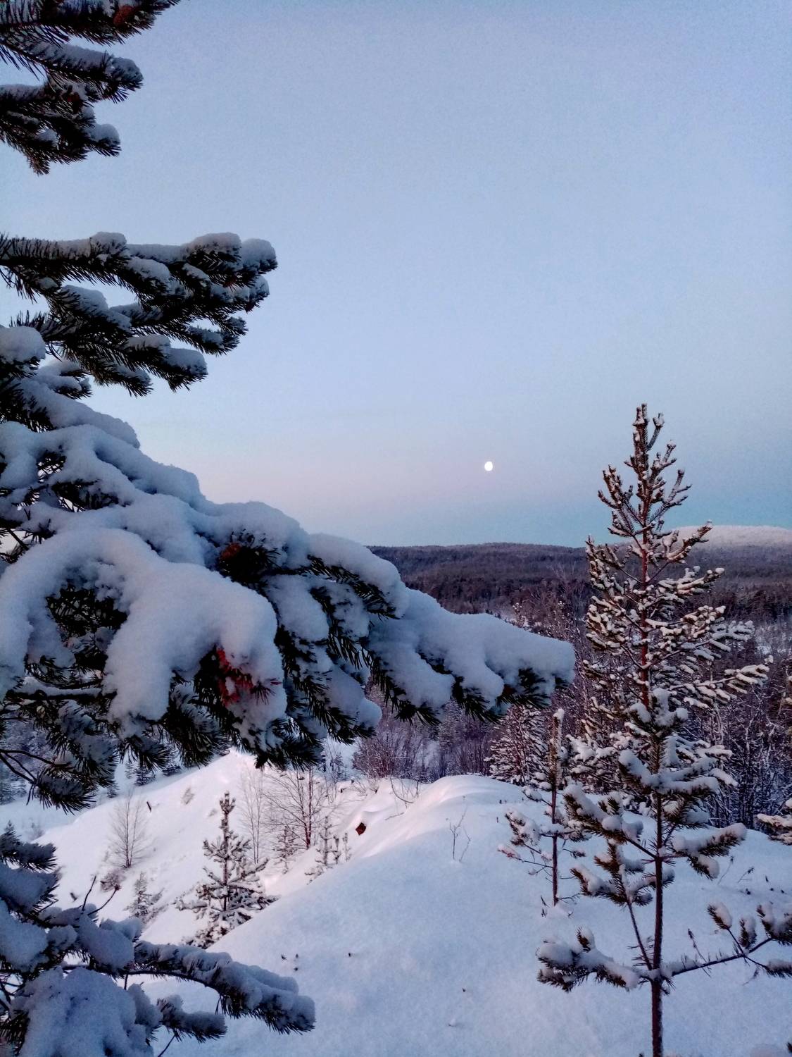 Photo #6981681