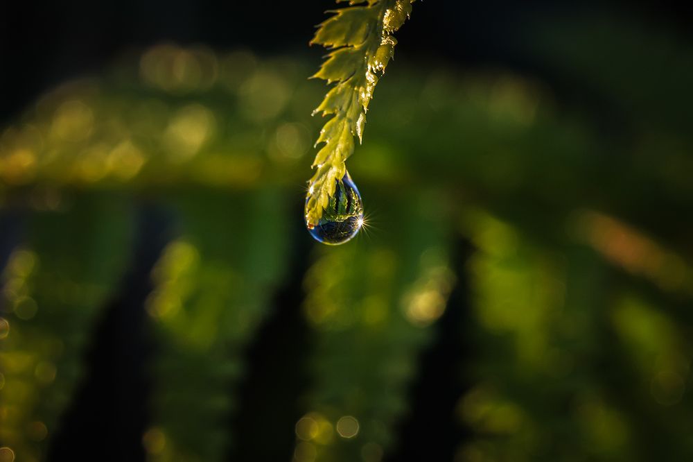 Photograph by SORAYA SAMPEDRO