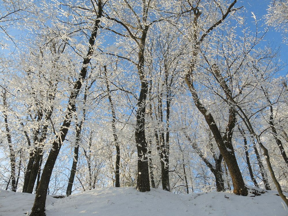 Photograph by ЭЛЬМИРА  ИСМАИЛОВА