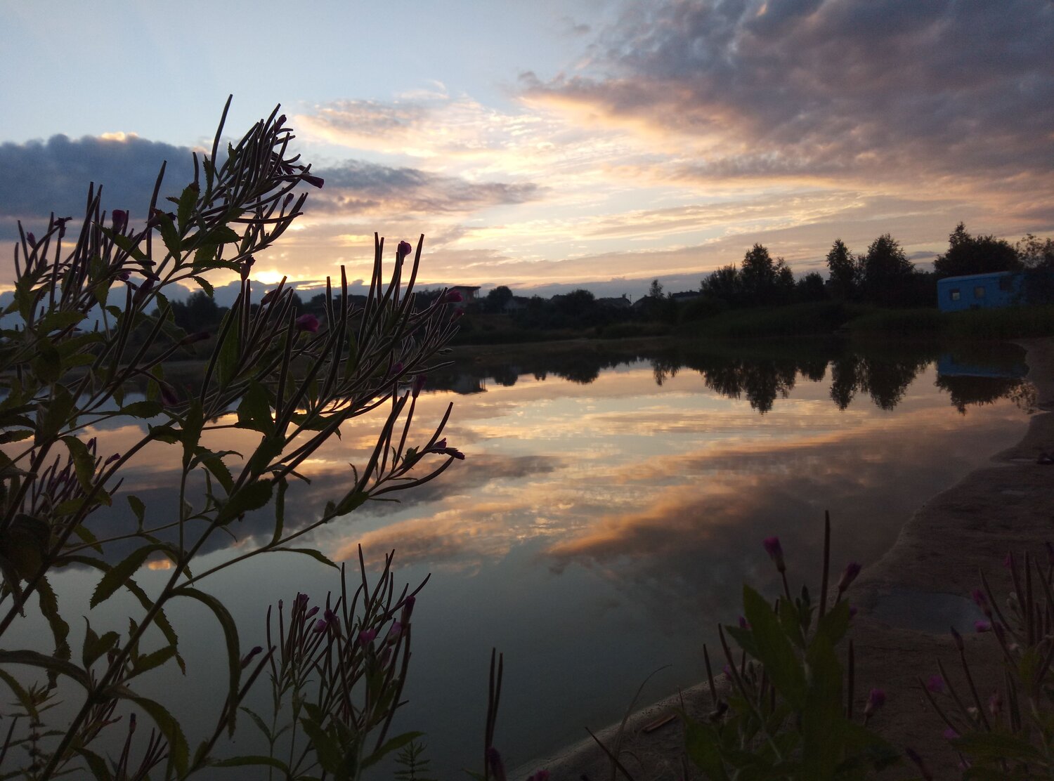 Photo #6981730