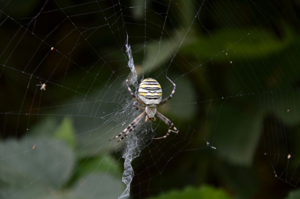 Photograph by Мари