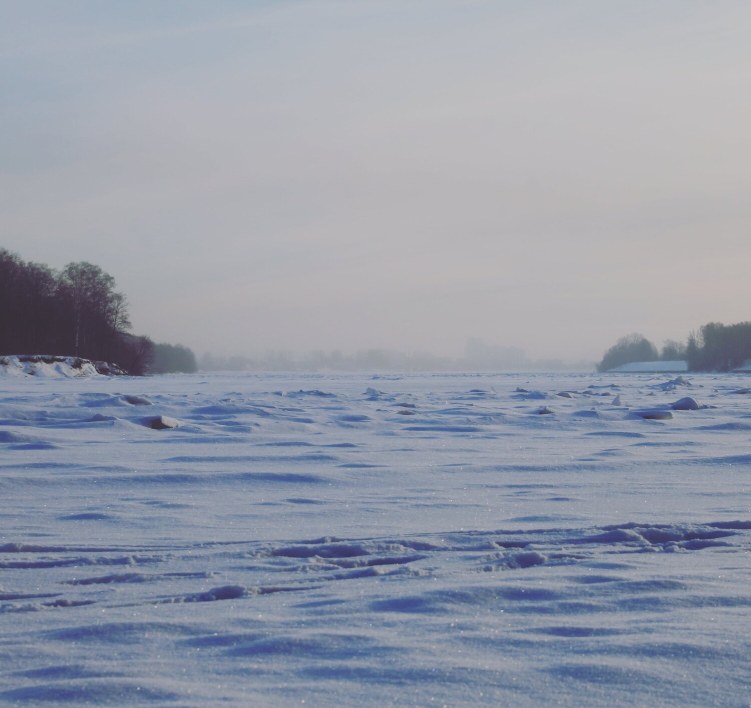 Photo #6981823