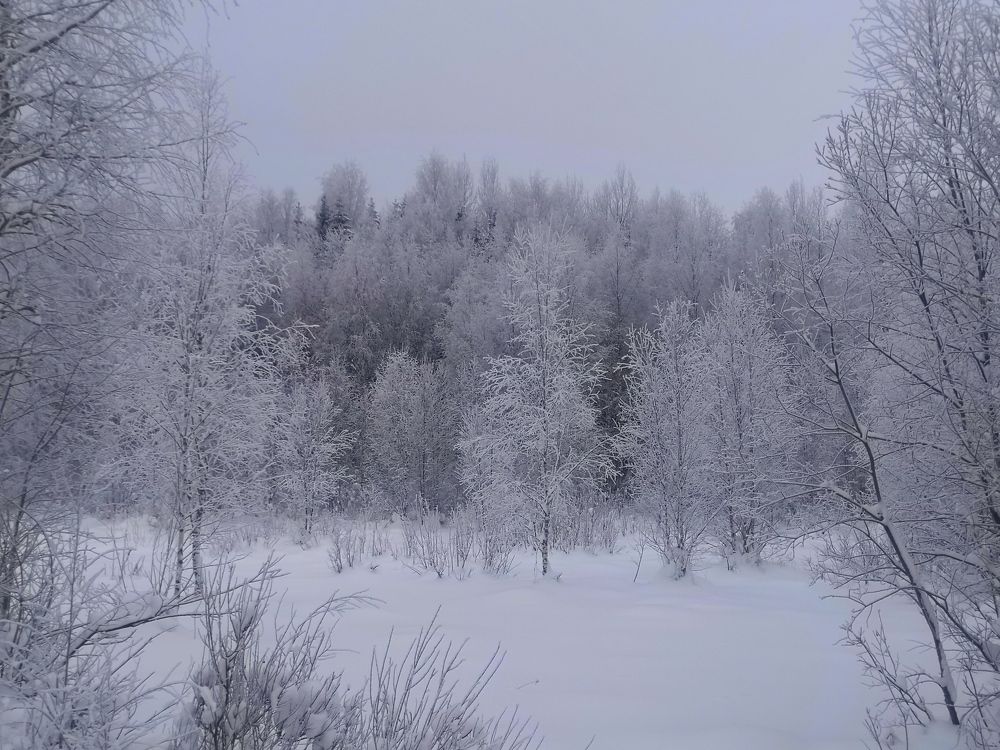 Photograph by Алексей Изюмов