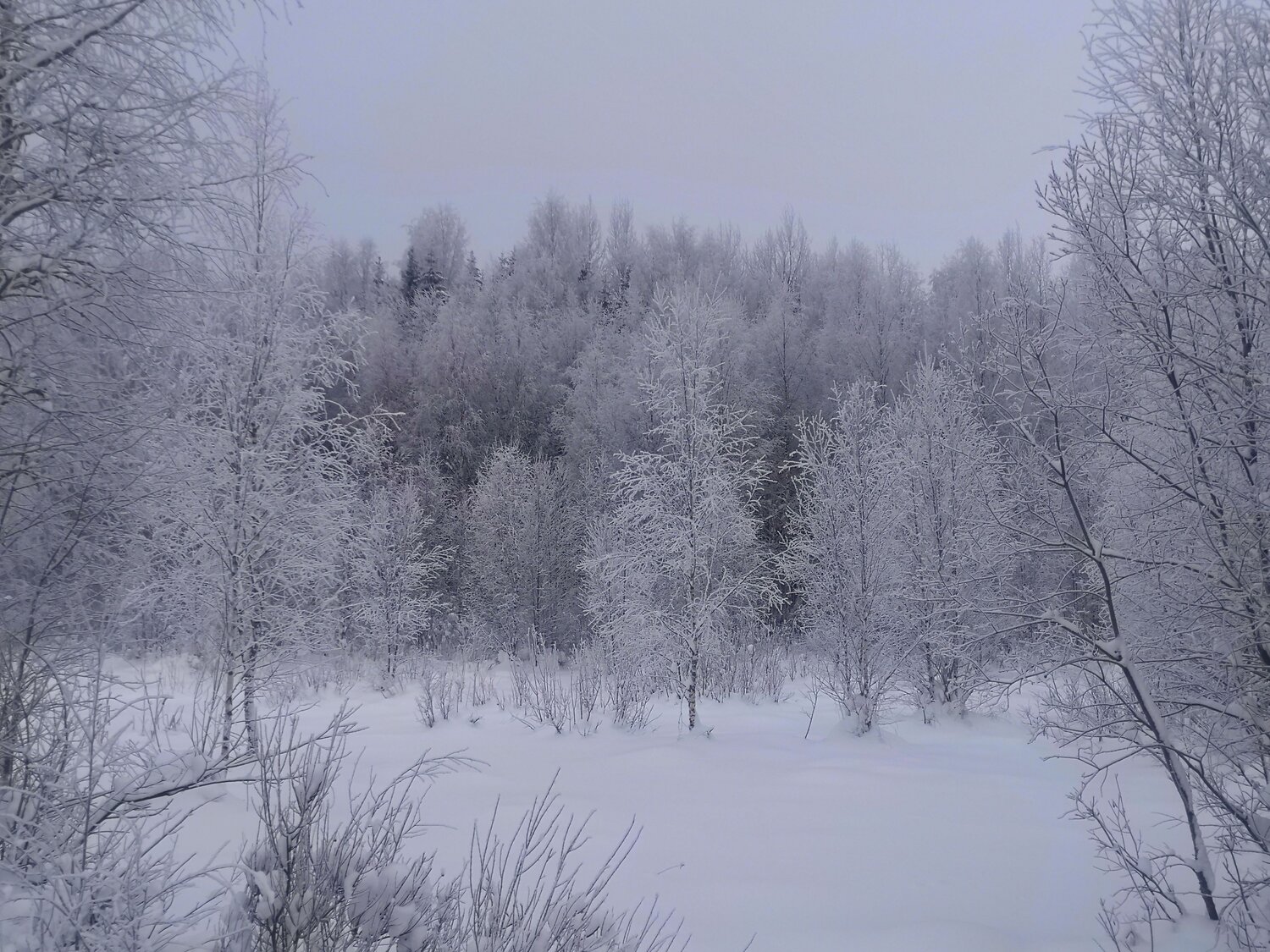Photo #6981843