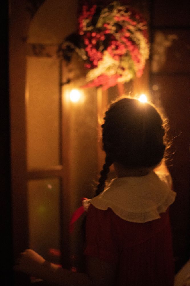 Photograph by Alla  Lichmanyuk