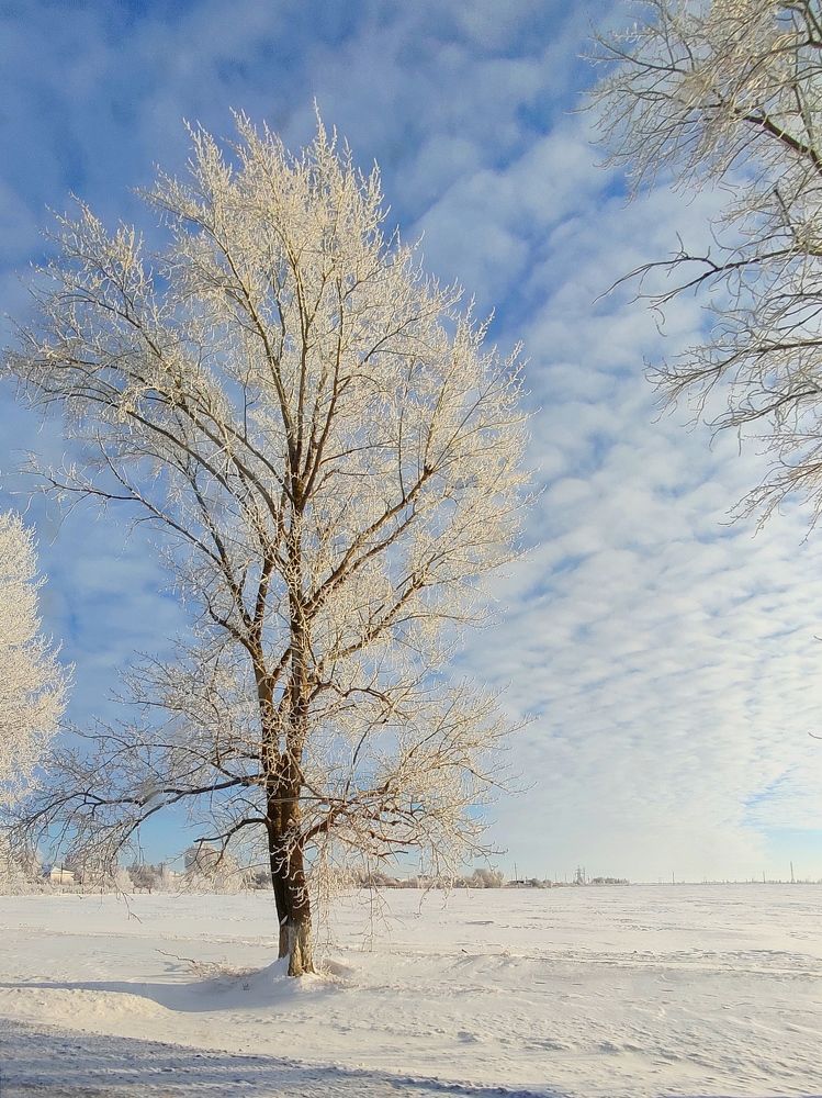 Photograph by Светлана Холодова