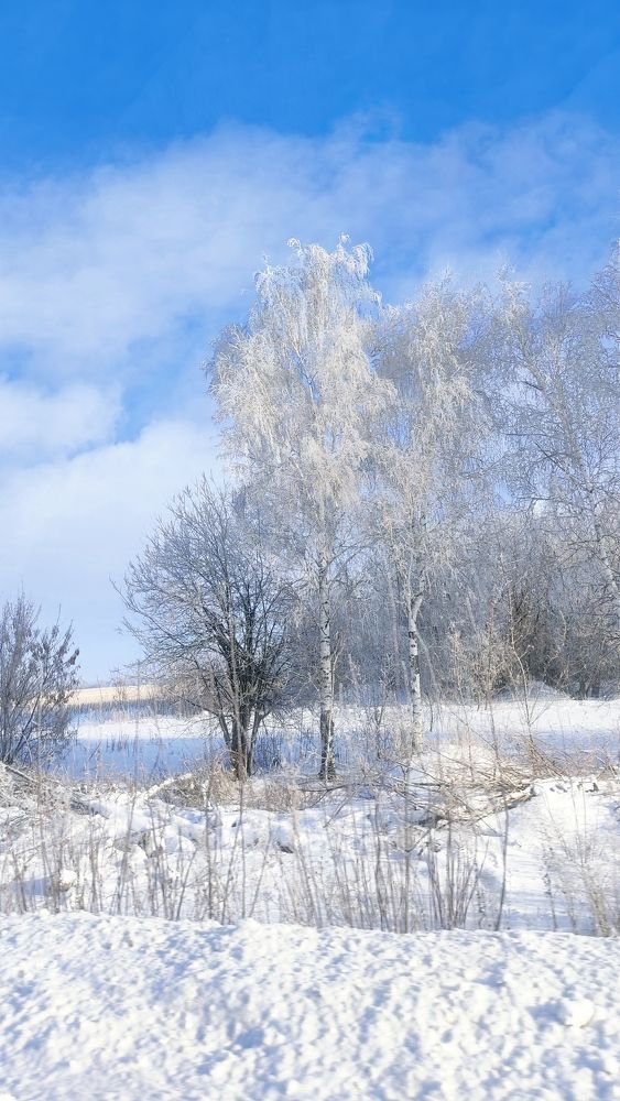 Photograph by Светлана Холодова