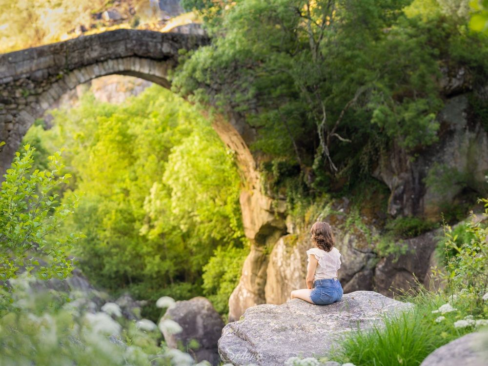 Фотография автора Francisco Sedano