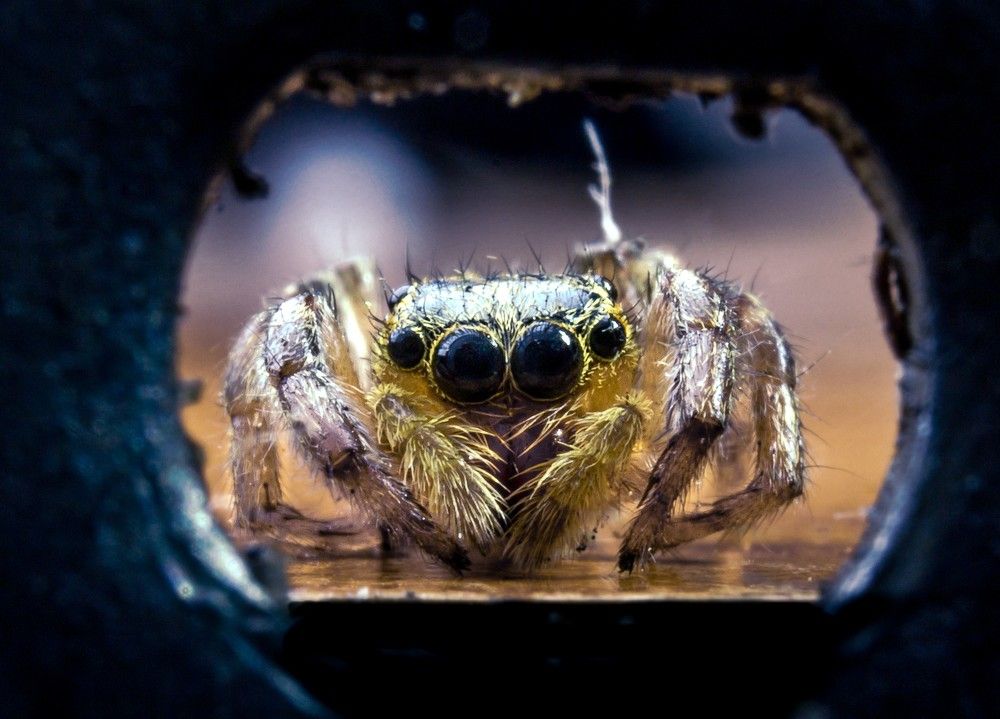 Photograph by Youness Fakoiallah