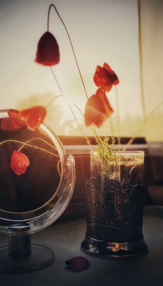 Photograph by Евгения Калугина