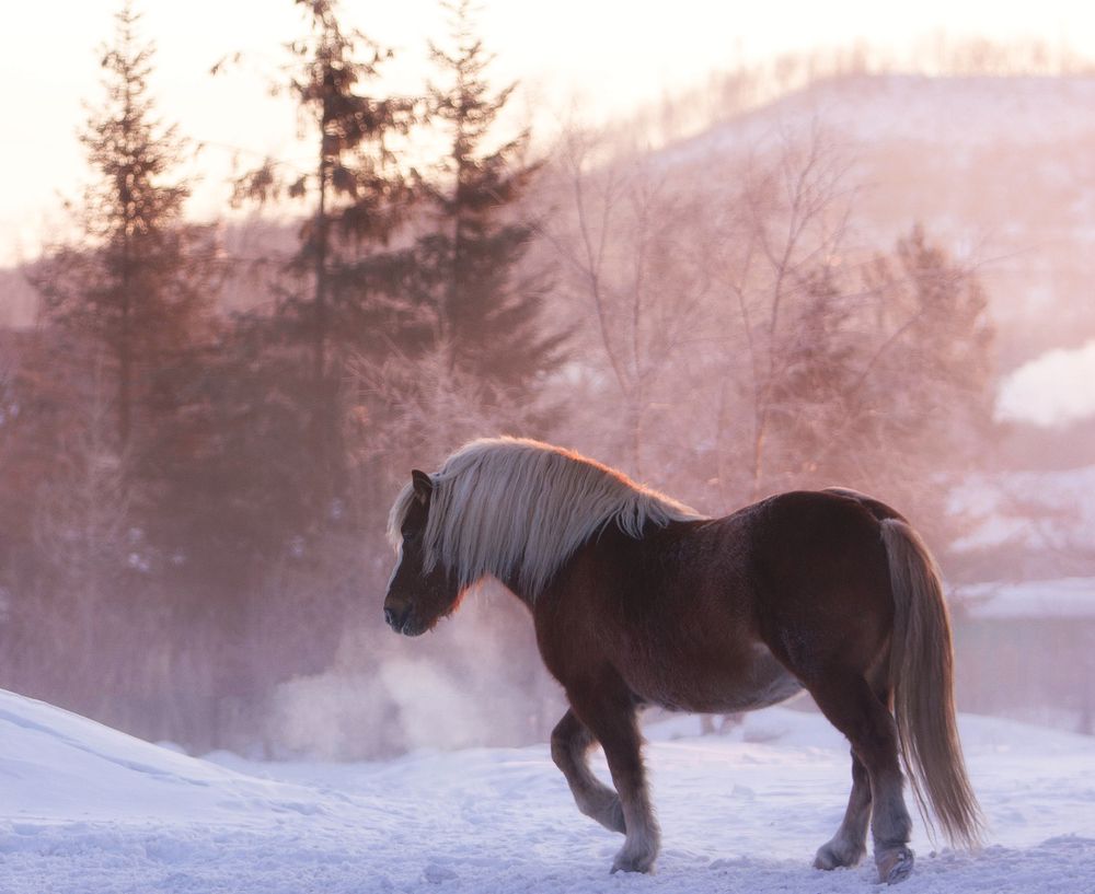 Photograph by Анастасия Кудаева