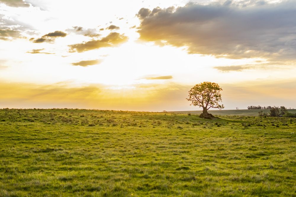 Photograph by Santiago Mederos