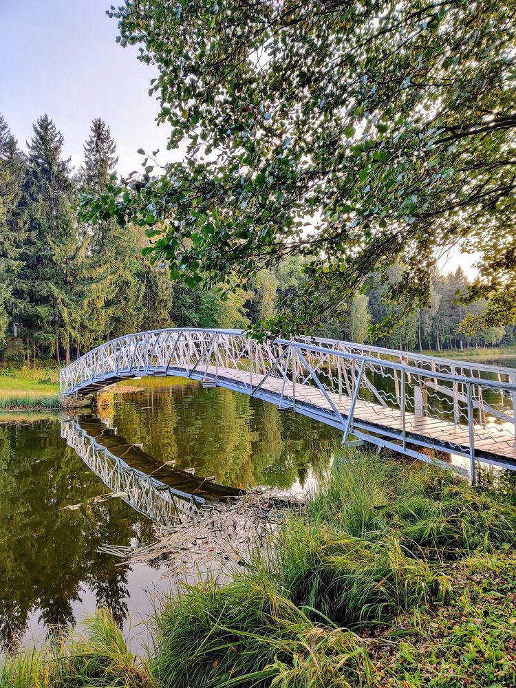 Photograph by Елена Башмакова