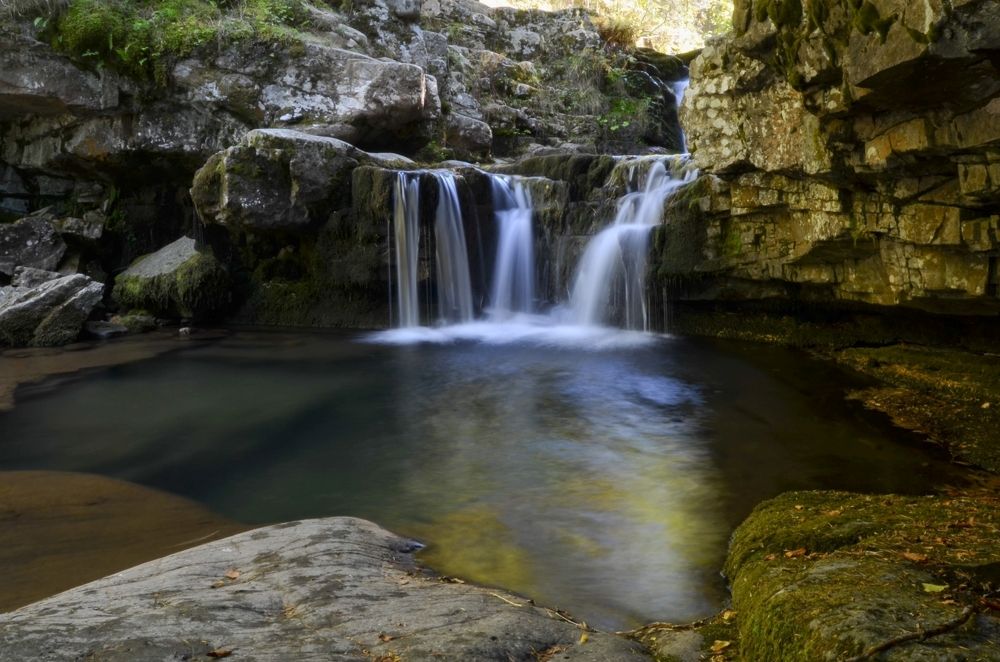 Photograph by Ольга Хомякова