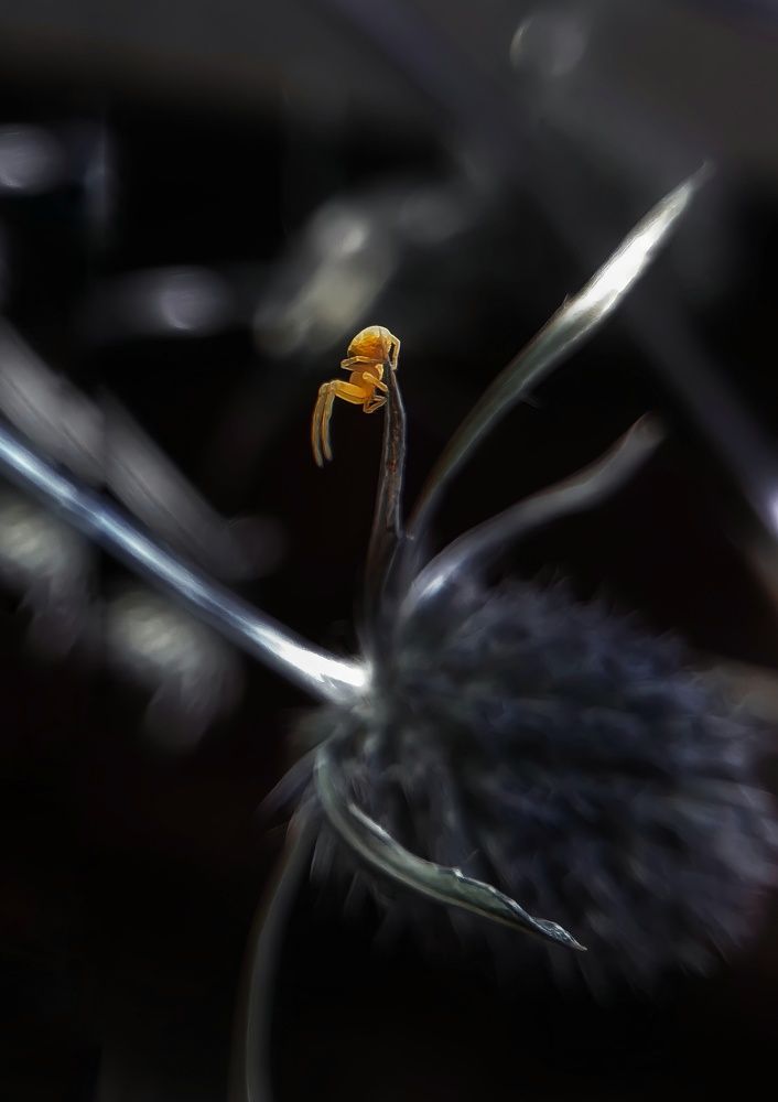Photo #6982084