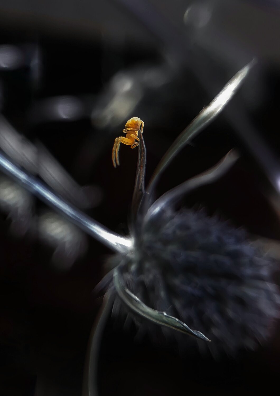 Photo #6982084