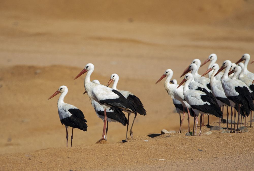 Photograph by Светлана Барабанщикова