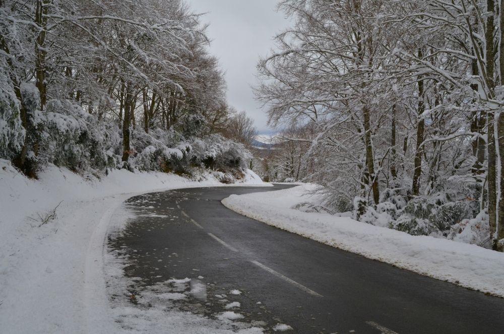 Photograph by Ольга Хомякова