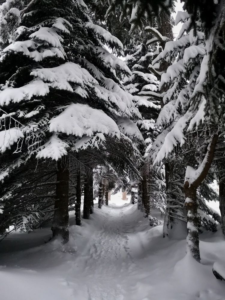 Photograph by Natali