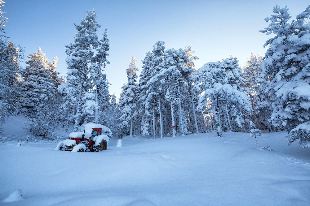Фотография автора Деян Романов