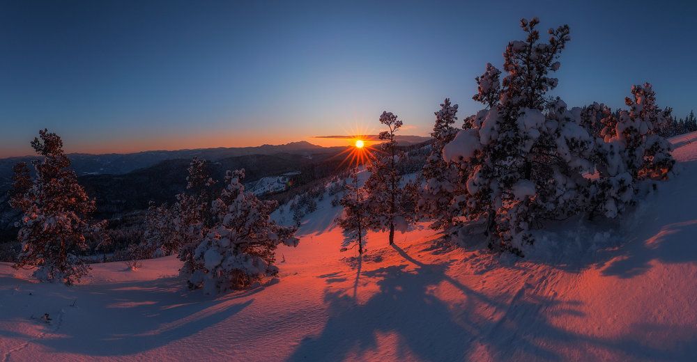 Фотография автора Деян Романов