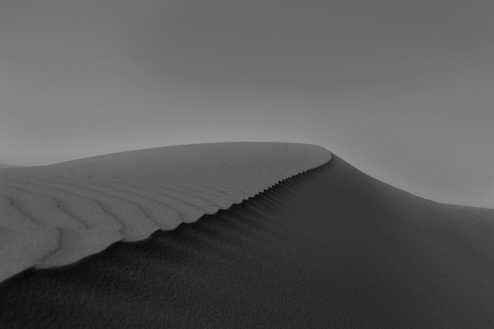 Photograph by Mohammed Alfuqaha