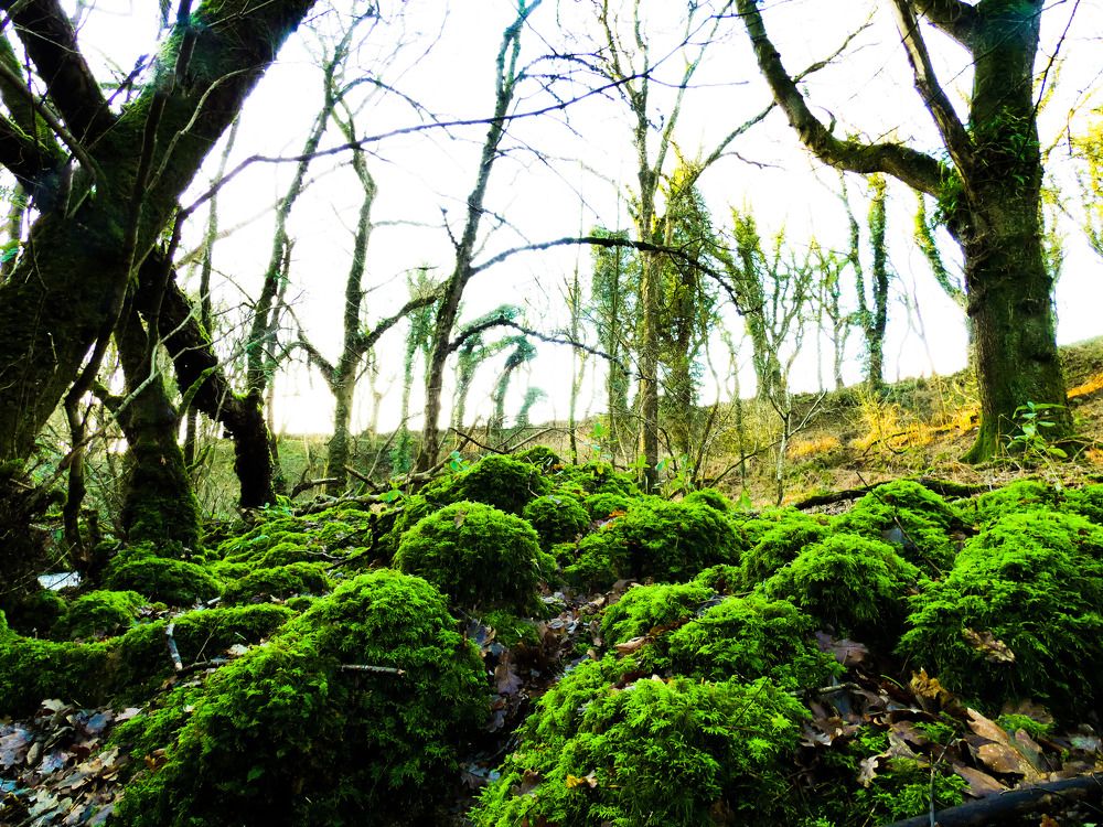 Фотография автора Michael Gault