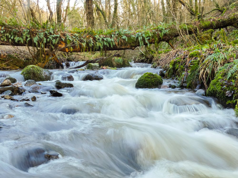 Фотография автора Michael Gault