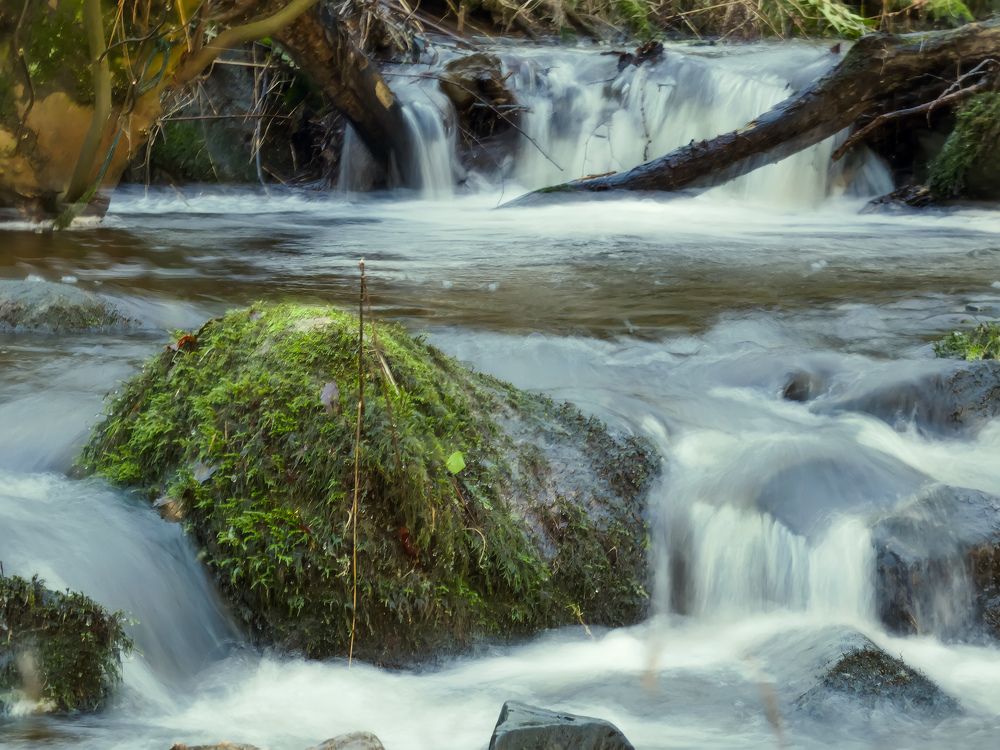 Фотография автора Michael Gault