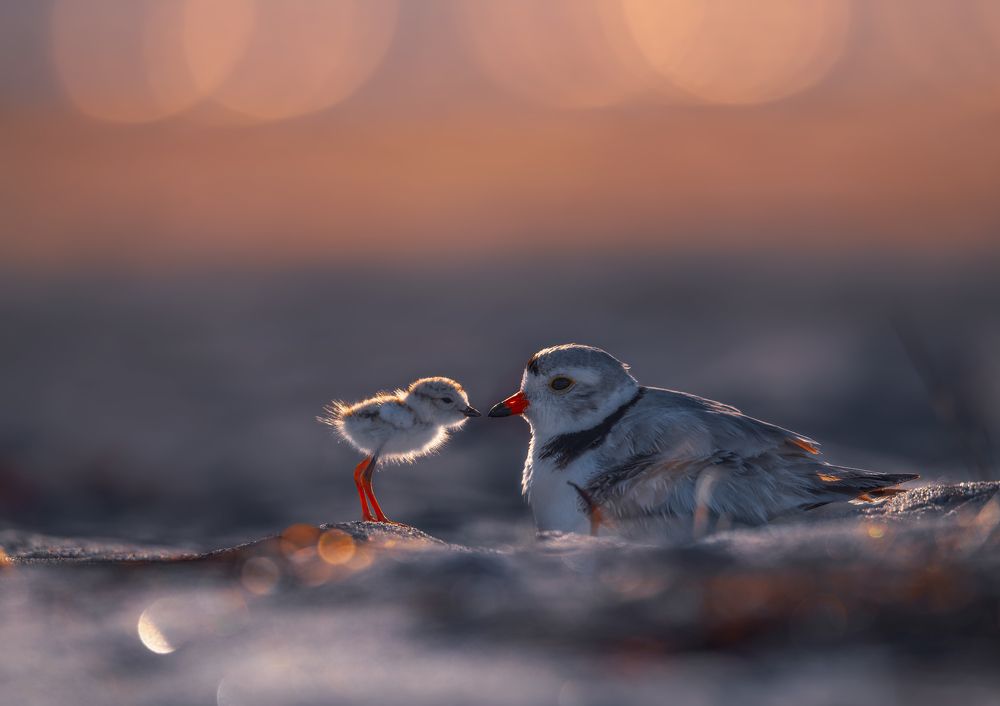 Photograph by George