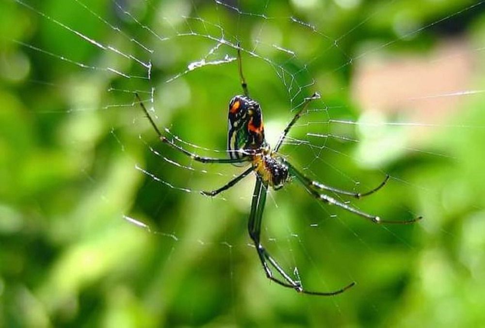 Photograph by Julio Cesar Almeida