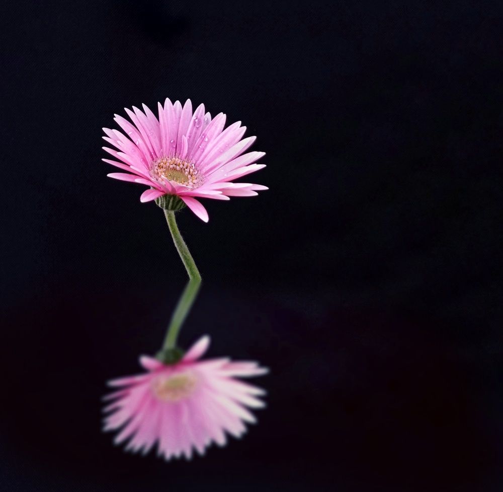 Photograph by Mohamed Abdulmajid