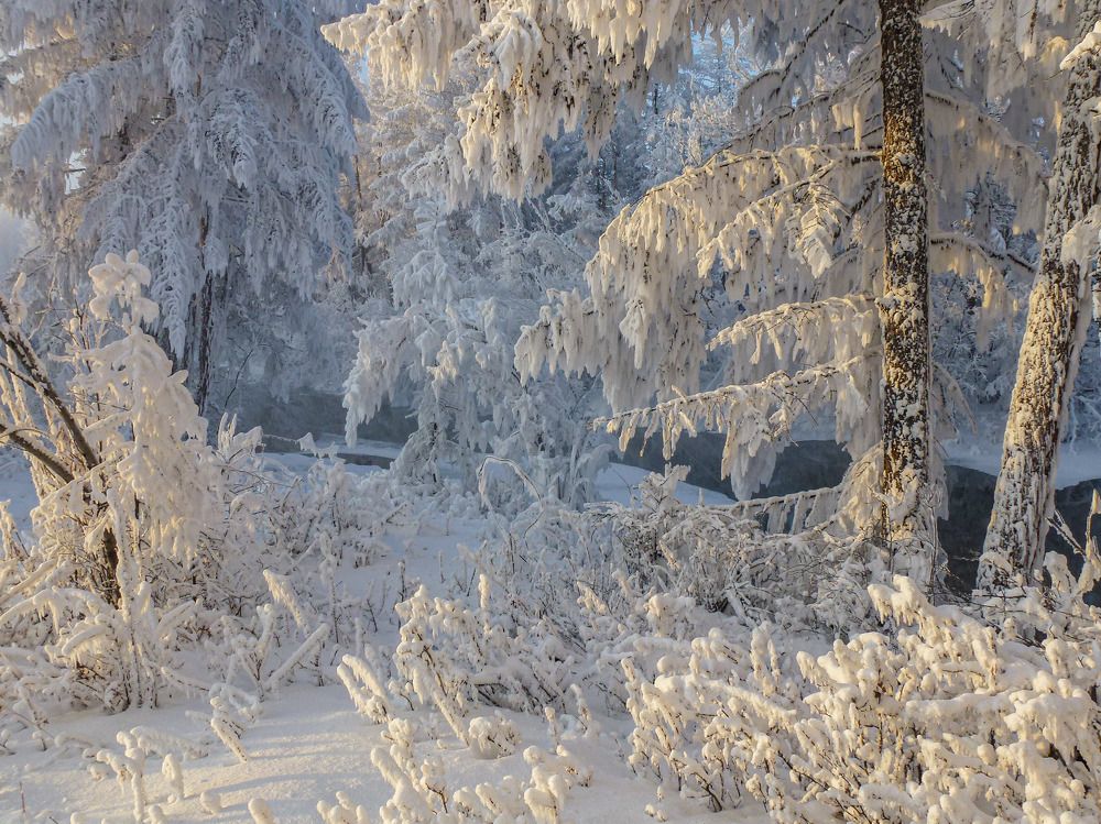 Photograph by Галина Искандарова