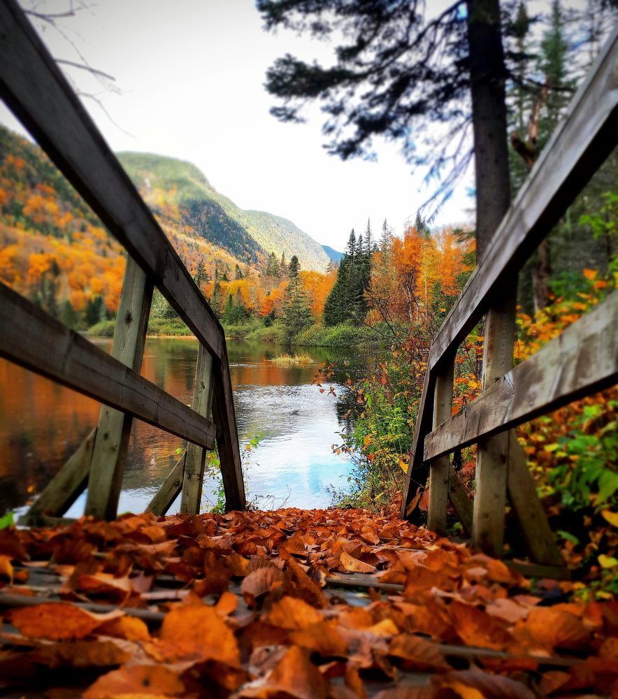 Photograph by Smn Buss