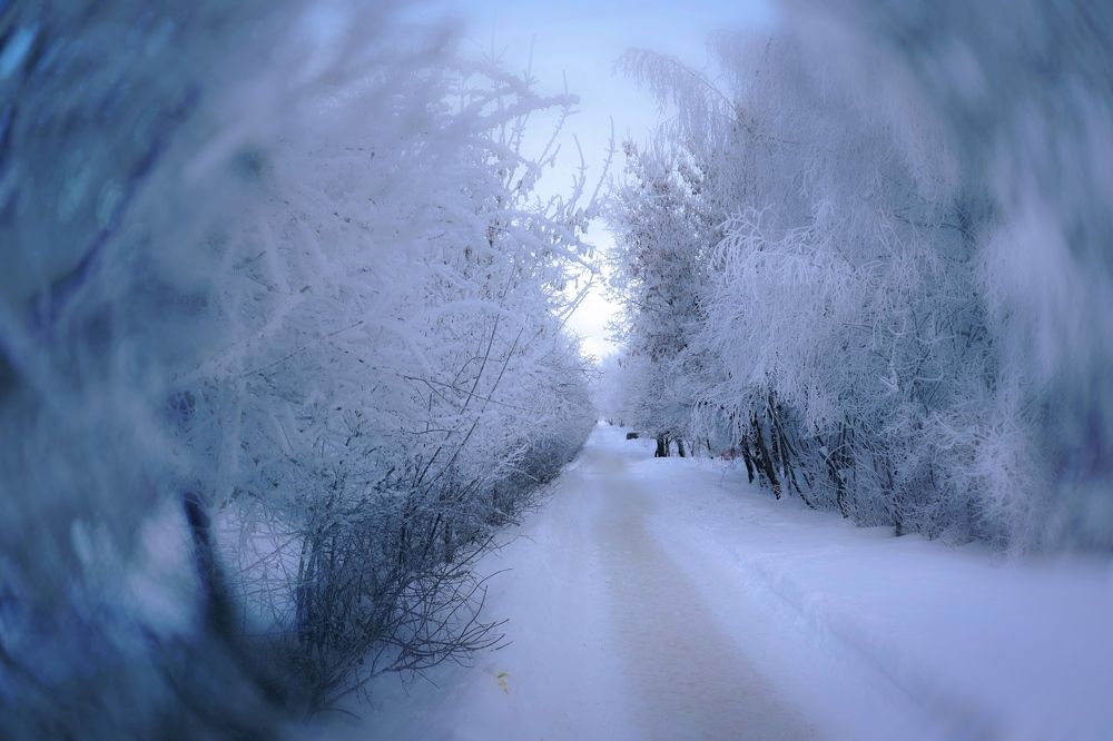 Photograph by Дмитрий Фадеев