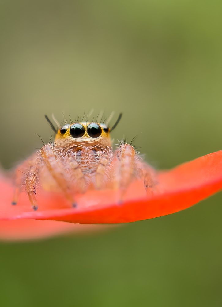 Photograph by Prasanth V