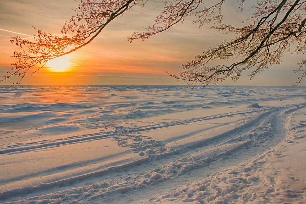 Photograph by Алексей Николаев