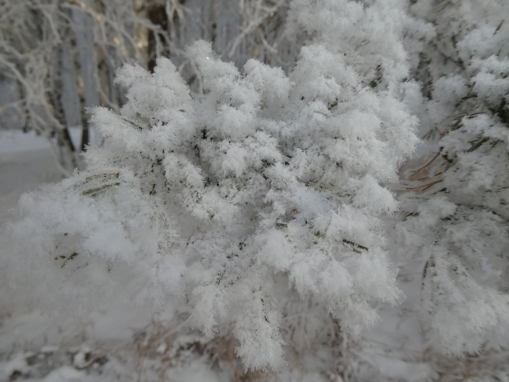 Photograph by Андрей Садчиков