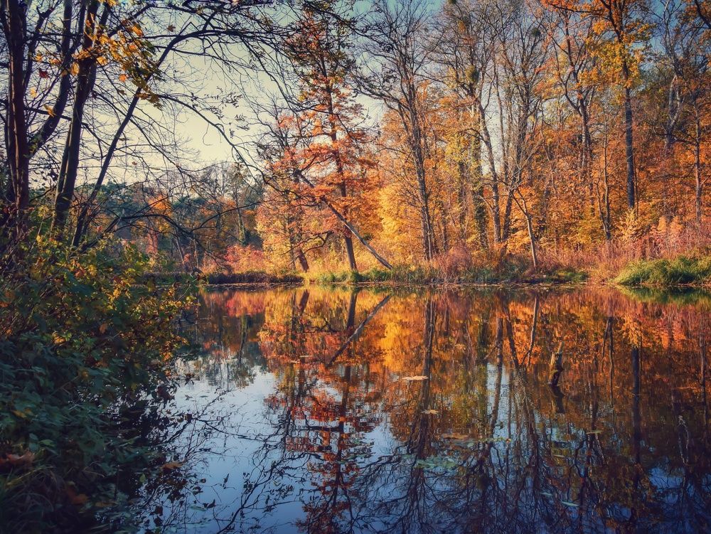 Photograph by Andrii Didushko