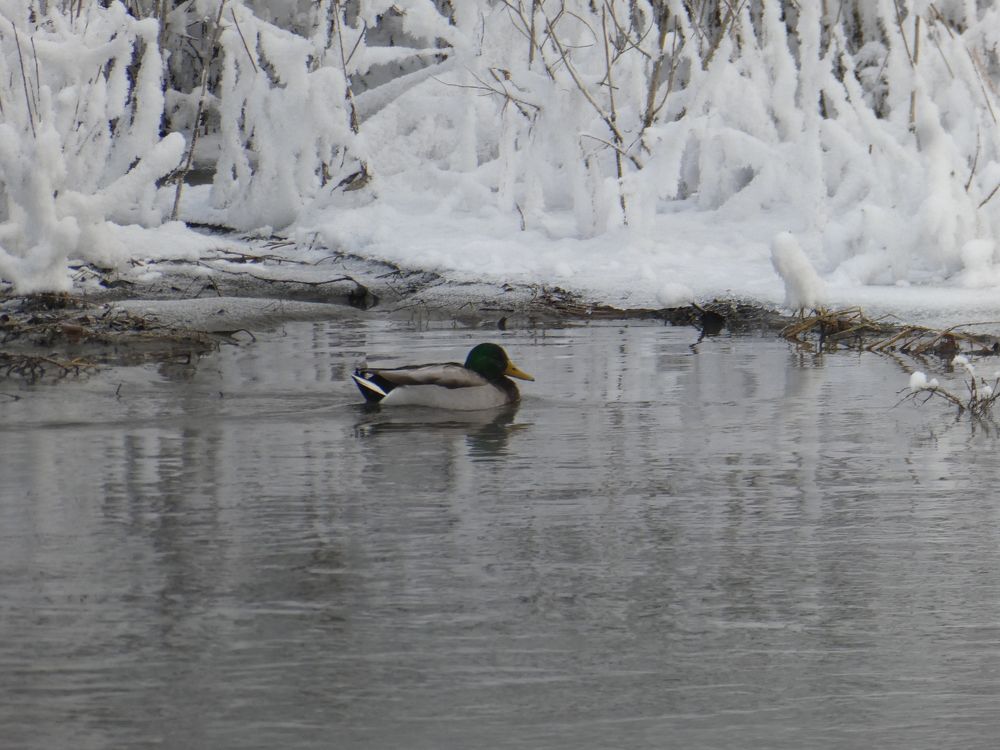 Photograph by Андрей Садчиков