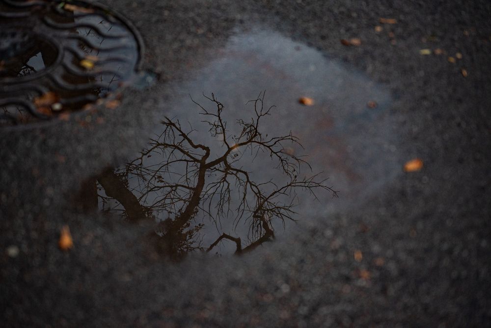 Photograph by Алексей Торлопов